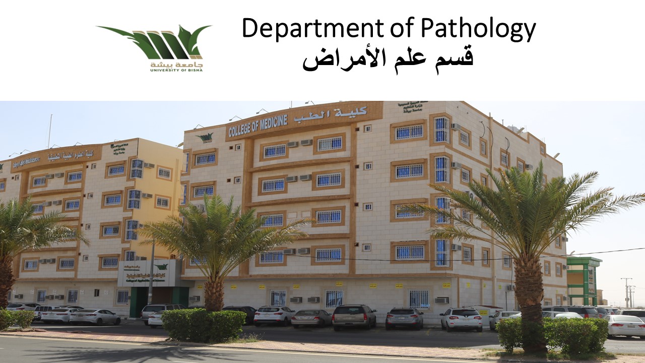 Department of Pathology